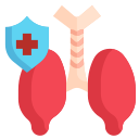 pulmones icon