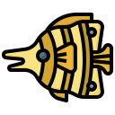pesce farfalla icona