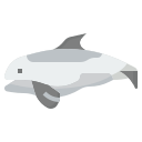 orca icon