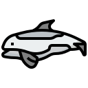 orca icon