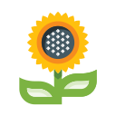 girasol icon