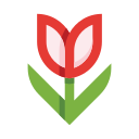 tulipán icon