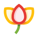 tulipán icon