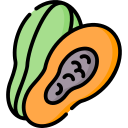 papaya icon