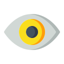 ojo icon