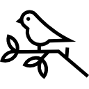 Птица на ветке icon