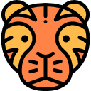 tigre icon