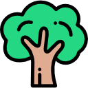 Árbol icon