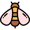 abeja icon