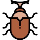 escarabajo icon