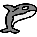 ballena icon