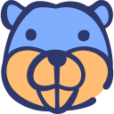 castor icon