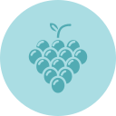 uvas icon