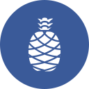 piña icon