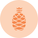 piña icon