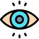 ojo icon