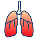 pulmones icon