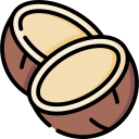 coco icon