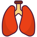 pulmones 