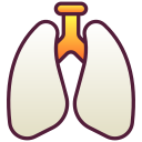 pulmones 