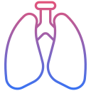 pulmones 