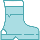 bota icon