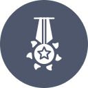 distintivo icon