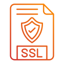 ssl icon