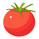 tomate icon