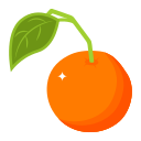 naranja icon