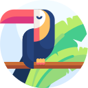 pájaro icon