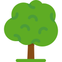 Árbol icon