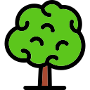 Árbol