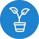 planta icon