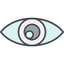 ojo icon