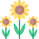 girasol icon