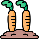 zanahorias icon