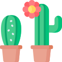 cactus icon