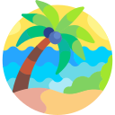 palmera icon