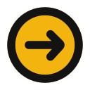 flecha correcta icon