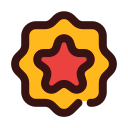 estrella icon