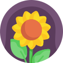 girasol icon