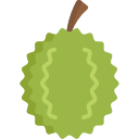 durian icon