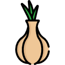 cebolla icon