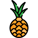 piña icon