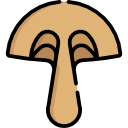 seta icon