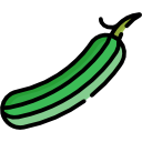 pepino icon