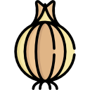 cebolla icon