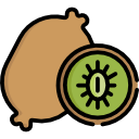 kiwi icon