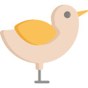 pollo icon